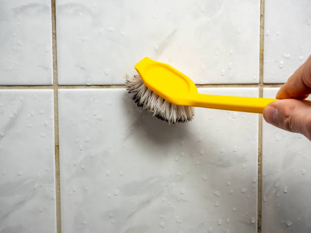 Best Best Mold Removal Companies  in Marion, KS