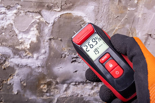 Best Fast Mold Removal  in Marion, KS