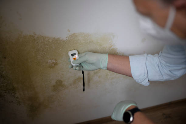 Best Water Damage Restoration  in Marion, KS