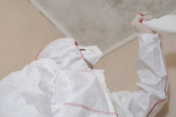 Trusted Marion, KS Mold Removal Experts