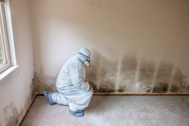 Best Emergency Mold Removal  in Marion, KS