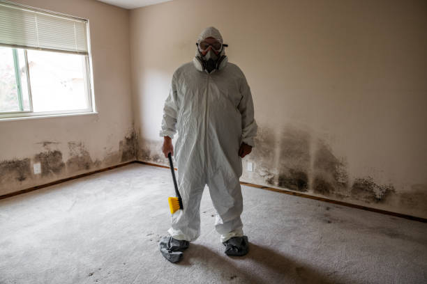 Best Residential Mold Removal  in Marion, KS